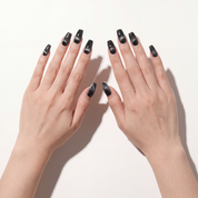 Velvet Noir